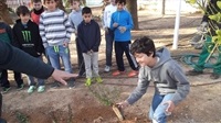 Plantació realitzada per l'alumnat del CP Baladre
