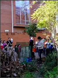 Plantació realitzada per l'alumnat del CP Ausiàs March