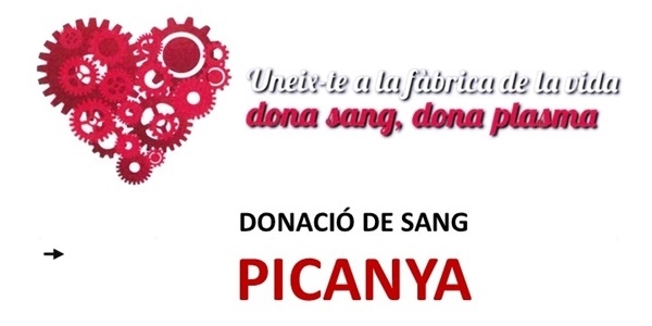 2025_05_16 PICANYA