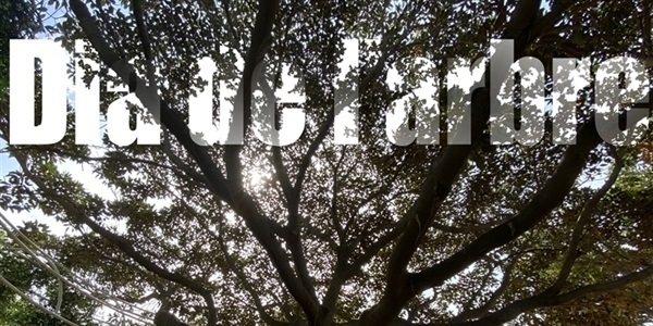 Celebrem el dia de l'arbre!