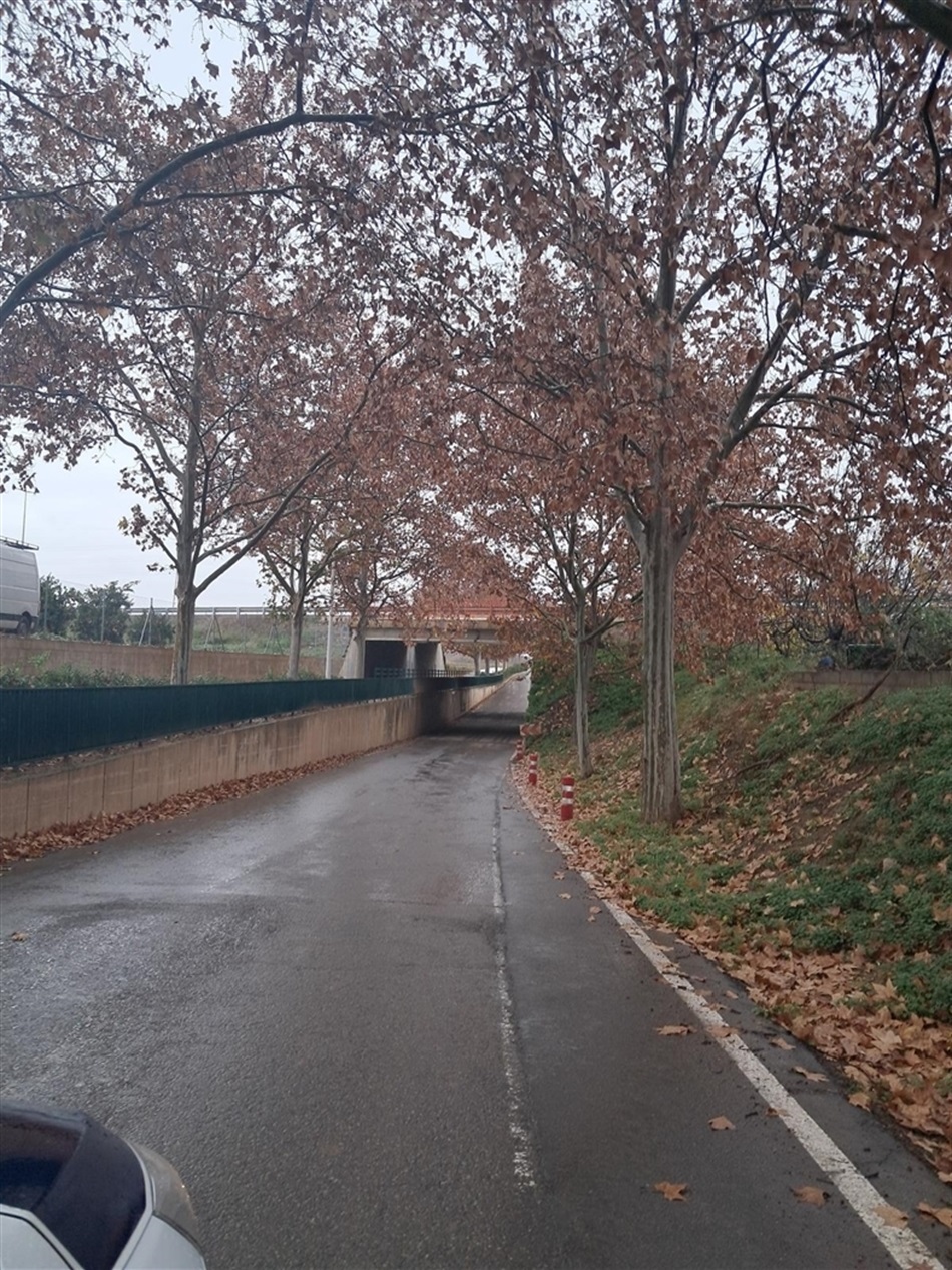 695e8500-efee-4cb0-b7fc-4b91f179a054 695e8500-efee-4cb0-b7fc-4b91f179a054